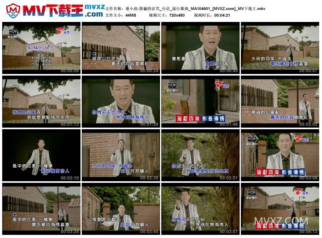 蔡小虎-欺骗的诅咒_台语_流行歌曲_MA104901